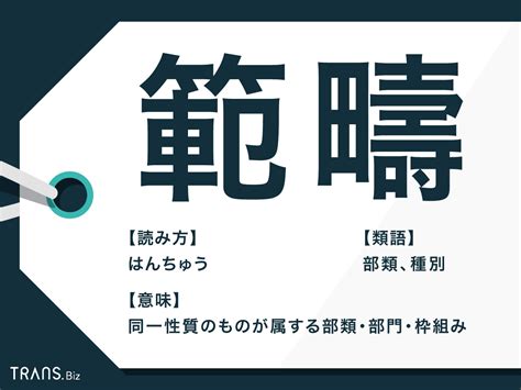 範疇先生|範疇（はんちゅう）とは？ 意味・読み方・使い方をわかりやす。